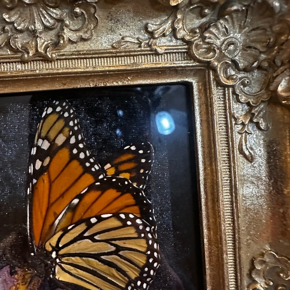 Unique Rare Pressed Flowers and Genuine Butterfly taxonomy Floral Art. - Picture 8 of 12